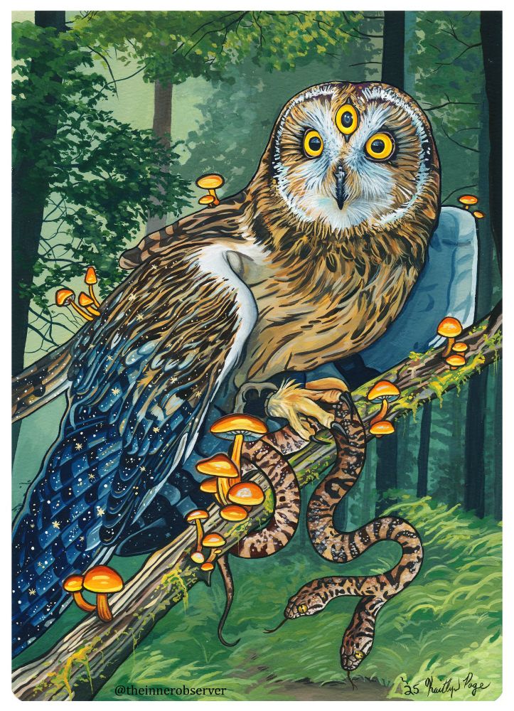 A painting done in gouache depicting a Short Eared Owl with three eyes. The Owl is sitting on a branch with fungi and is holding a two headed snake. The background is a forest scene. 
