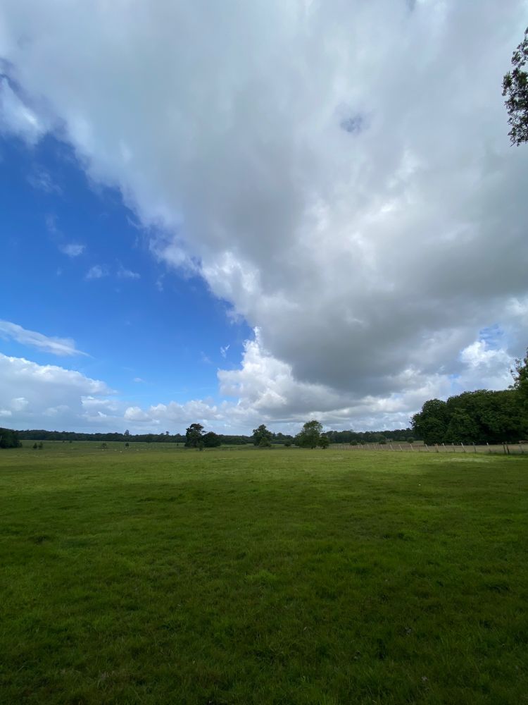 Panoramic vista on South Downs