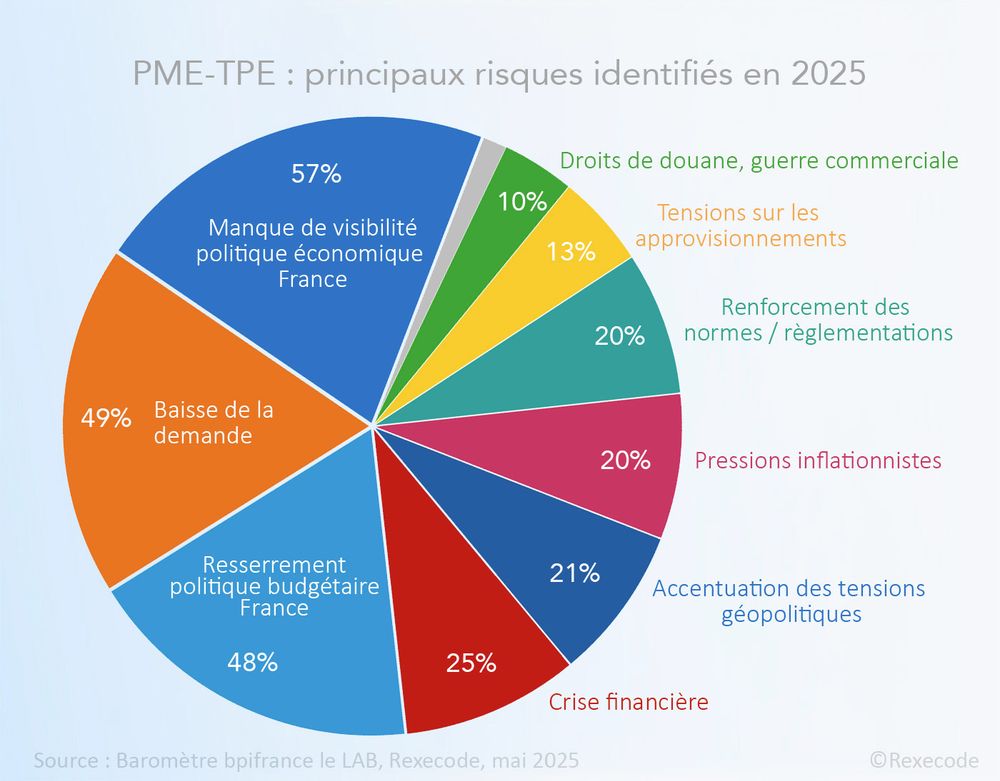 risques 2025 selon le baromètre TPE PME Rexecode bpifrance Le LAB (mai 2025)