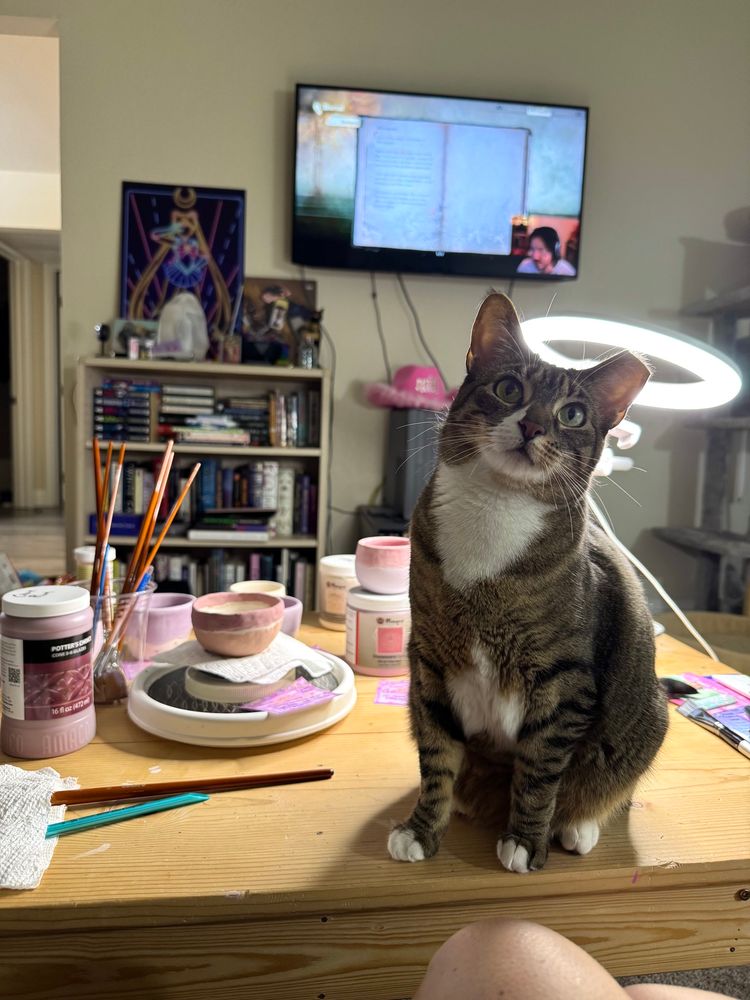A tabby cat with white paws and white patches on her belly, chest, and muzzle sits on a wooden coffee table, a ring light positioned behind her reminiscent of a halo. The rest of the coffee table is cluttered with pottery, glazes, brushes, and various other pottery glazing tools. In the background is a bookshelf and a tv with a playthrough of Silent Hill f playing on it.