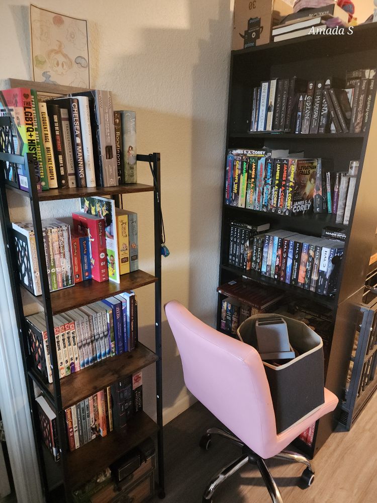 Two shelves at right angles to on another. One is black and tall and full of books. The second is short with wood colored shelves and black metal full of manga and books