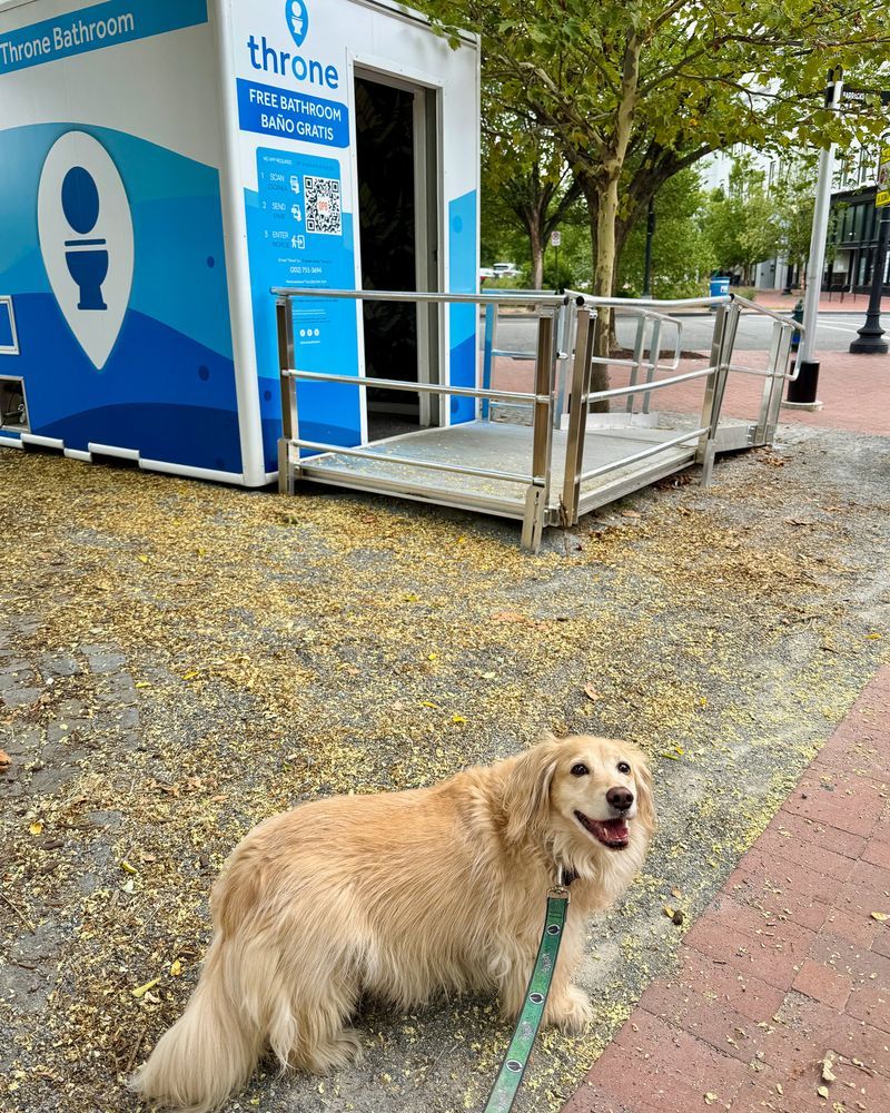 Dog outside the Throne at Eastern Market