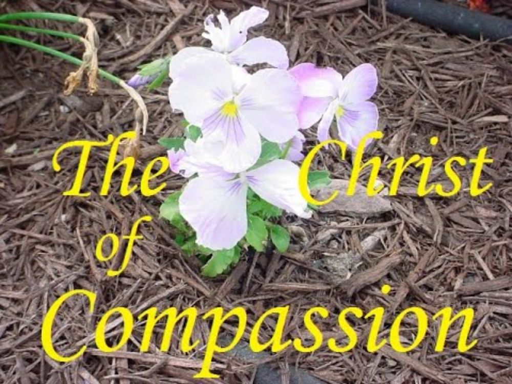 The Christ Of Compassion