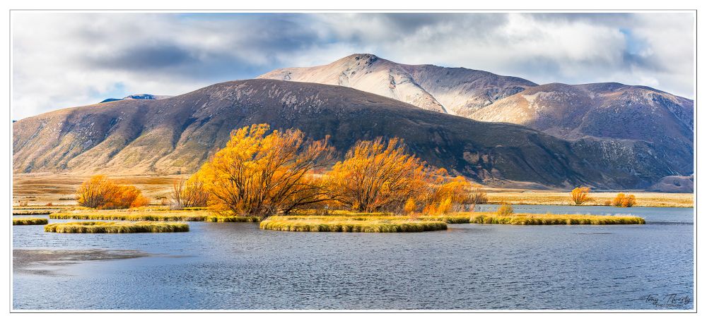 Golden Willows add just that extra slash of colour on the Ben Avon wetland up the Ahuriri valley in the Mackenzie highlands, during Autumn. New Zealand.