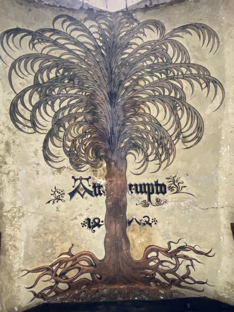 An der Decke eines Gewölbes auf hellem Putz aufgemalte Palme mit viel Wurzelwerk. Auf Höhe des Stammes Text: Attempto 1472