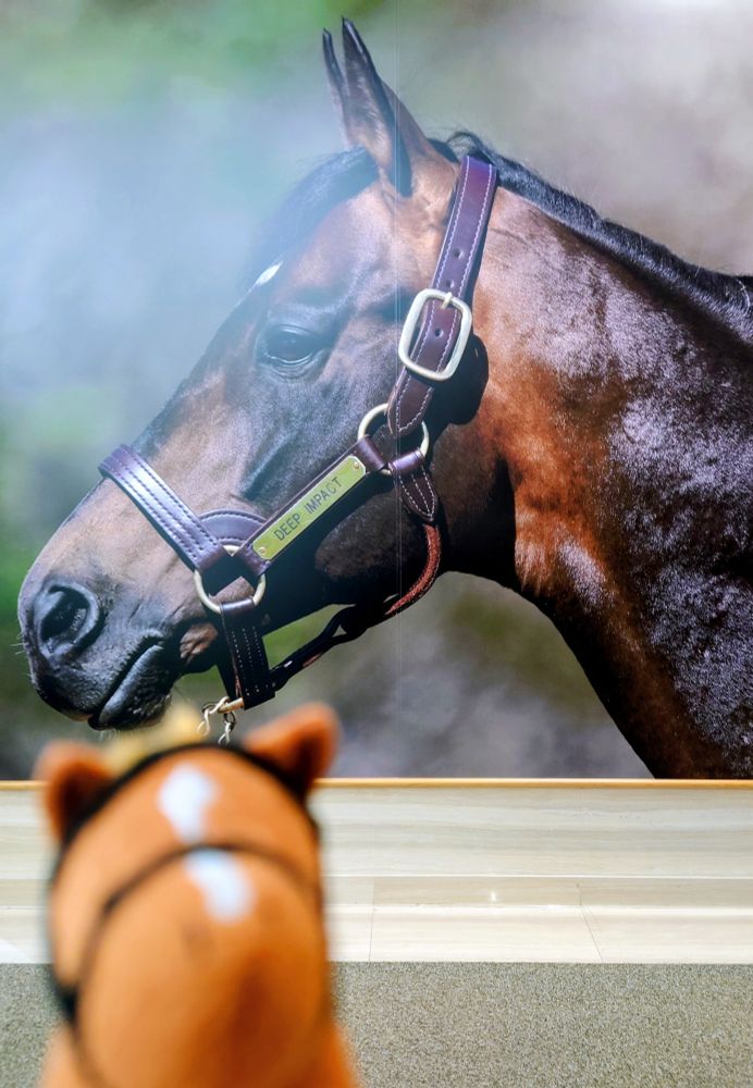 …　おれのは？