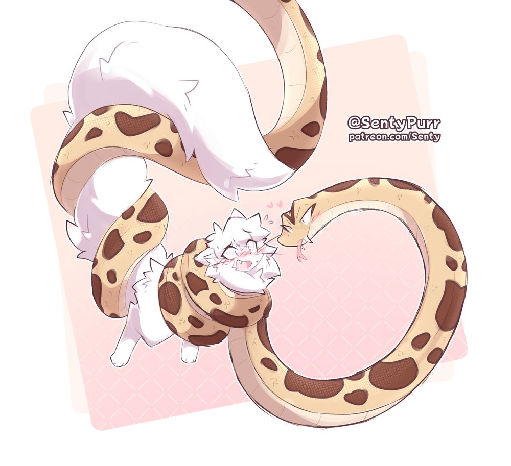 Robyn, a white-furred fluffy cat with an overly long tail, is blushing red as he's coiled up and held in the air by his roommate Nathan; A burmese python holding out his forked tongue at him with a blush of his own.