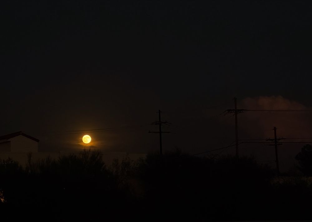 A photo of a full moon rising over a horizon of desert trees and utility poles. 