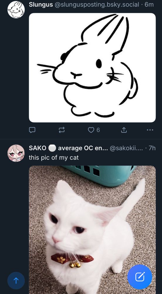 Screenshot of my bsky timeline. The top post is the slungus bunny drawing, and the bottom post is of @sakokii’s cat. 