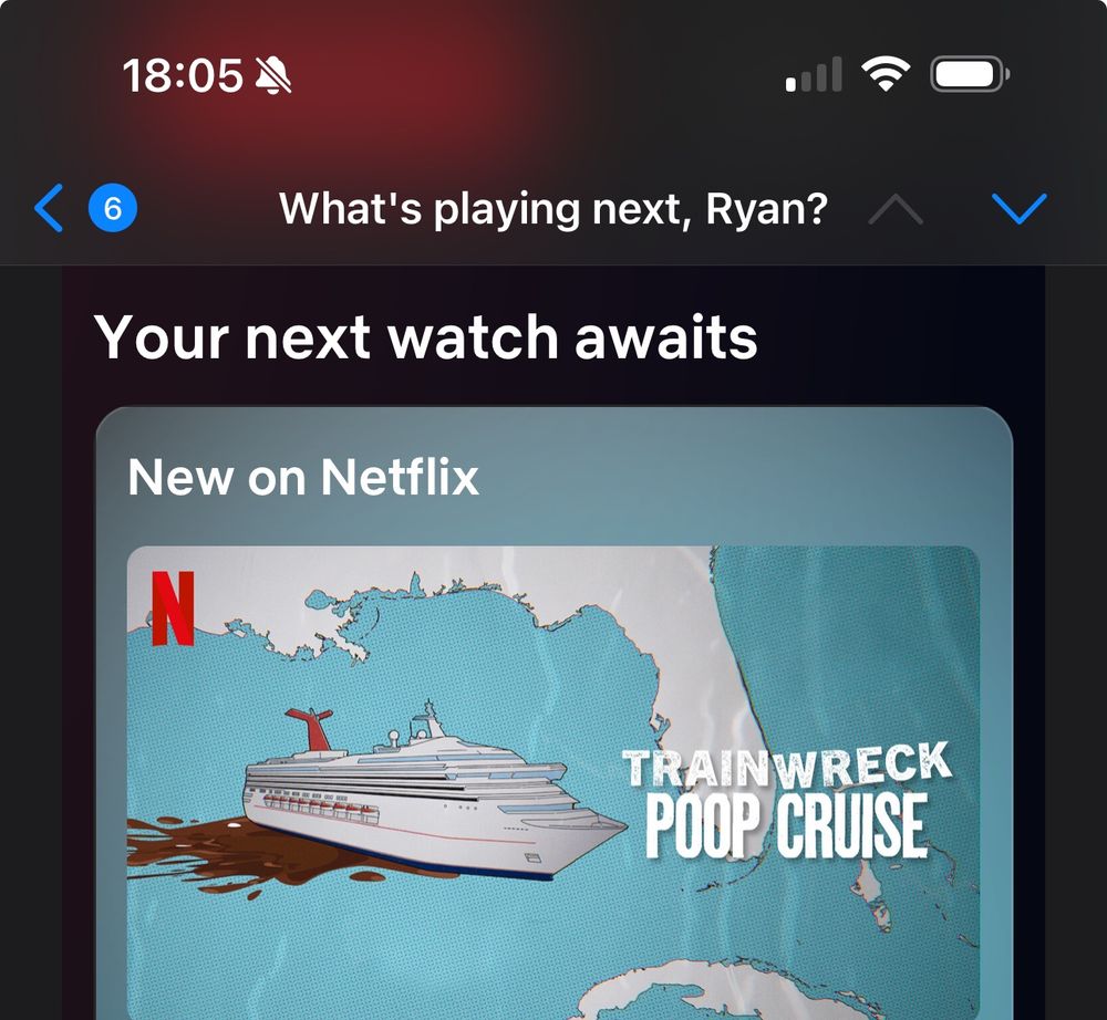 A Netflix advertisement for something called Poop Cruise 