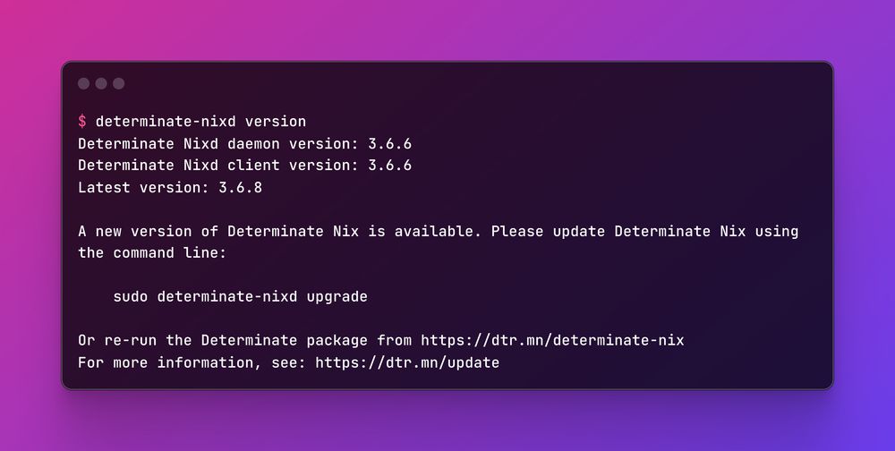 Screenshot of a terminal window where the user ran `determinate-nixd version` and Determinate Nix responded with the version numbers and a message that a new version is available, with instructions on how to upgrade.
