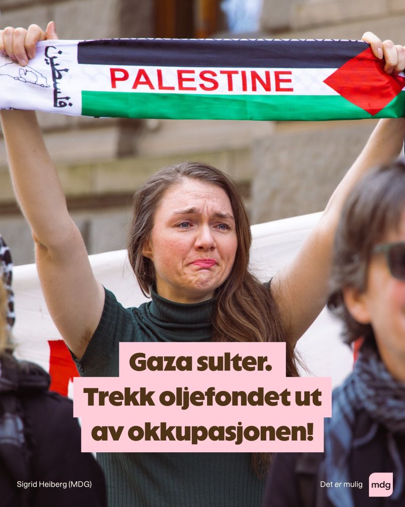 Sigrid Heiberg fra MDG holder opp et skjerf med PALESTINA skrevet på. Tekst: Gaza sulter. Trekk Oljefondet ut av okkupasjonen!