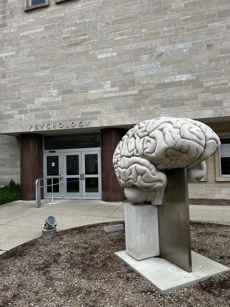 Big brain sculpture in front of Psychology building
