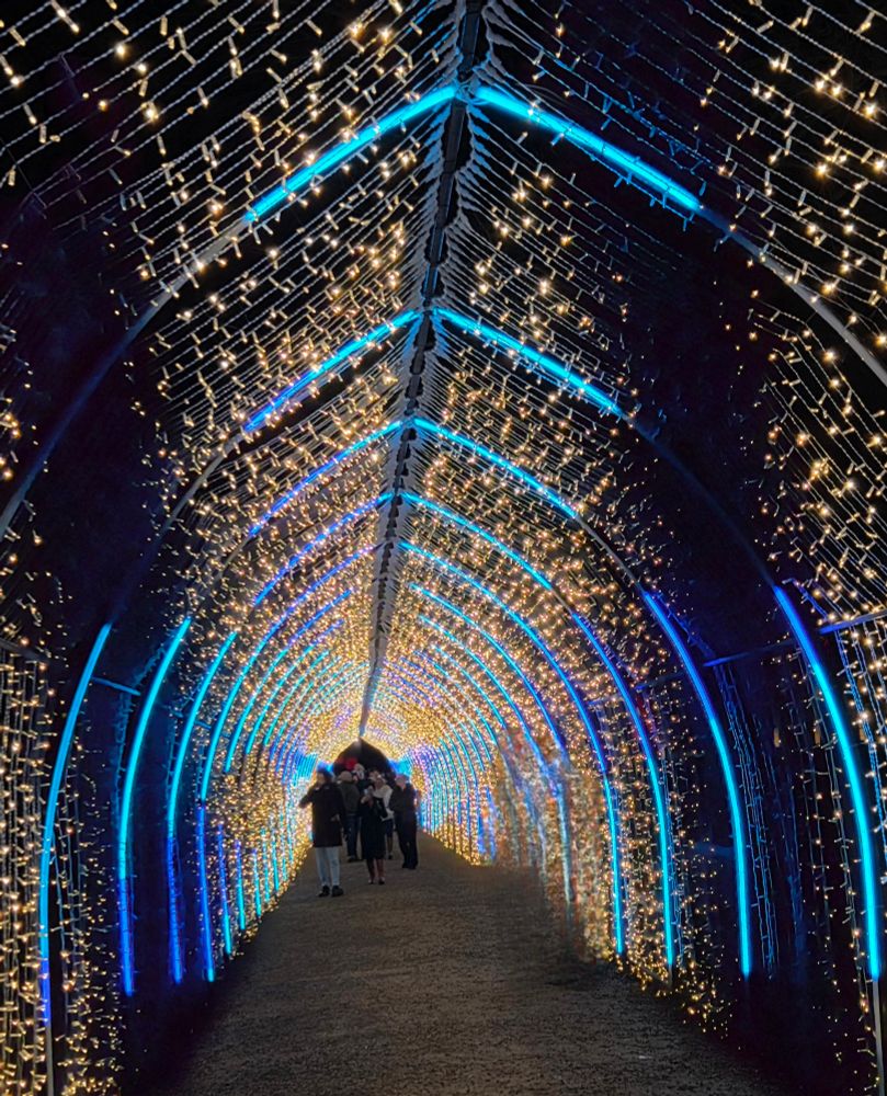 Massive tunnel of fairy lights changing colour. 