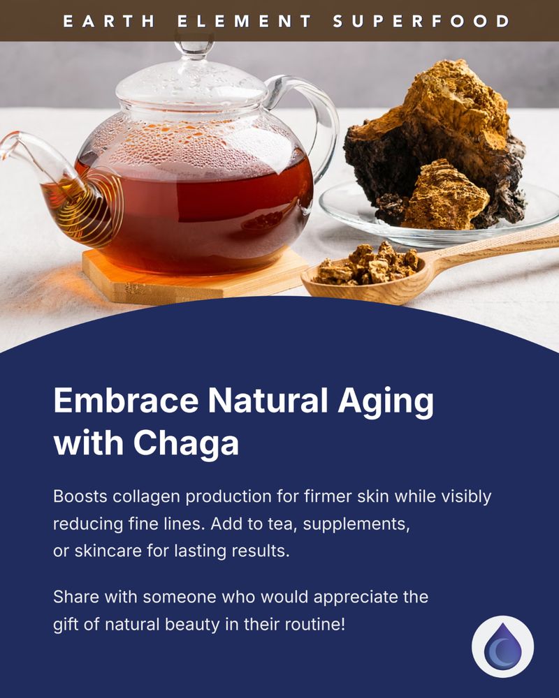 Glass teapot filled with steeped Chaga tea beside a chunk of raw Chaga and powdered pieces on a wooden spoon—symbolizing Chaga’s role in boosting collagen and supporting graceful aging.