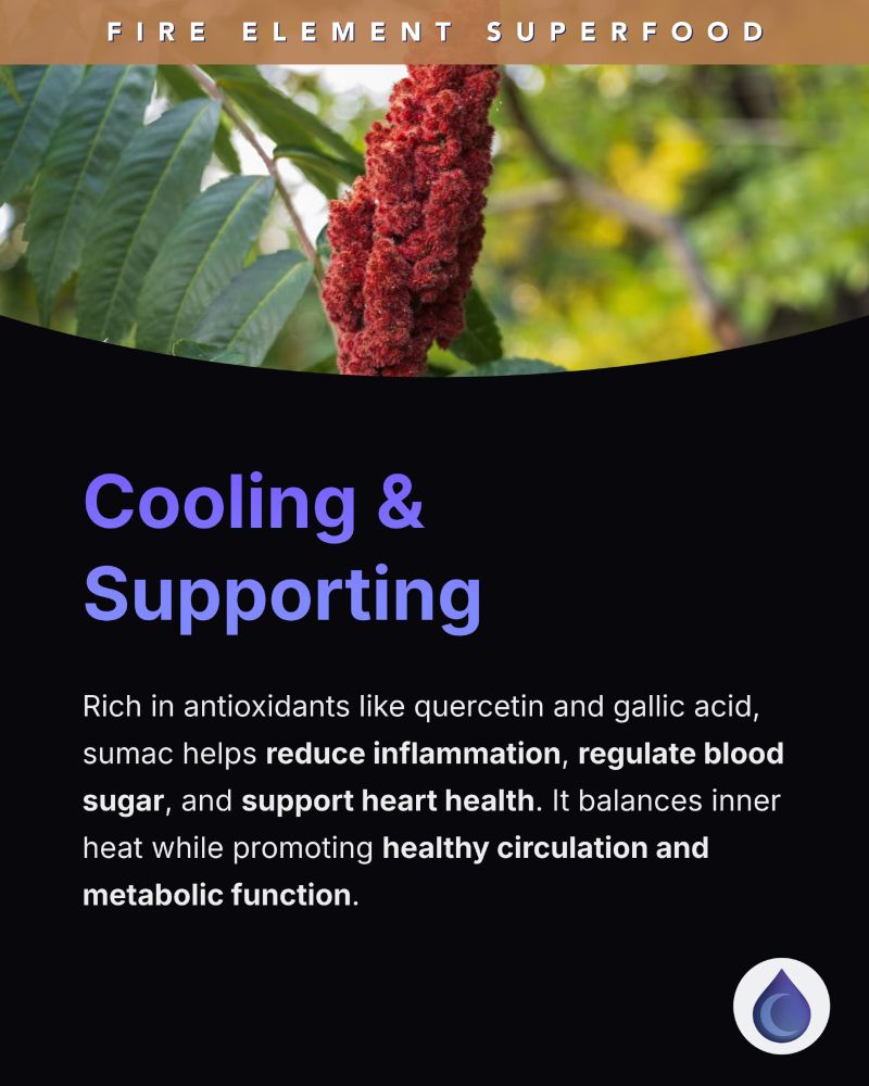 Close-up of a bright red sumac cluster growing on the tree, symbolizing its antioxidant properties and cooling support for inflammation and heart health
