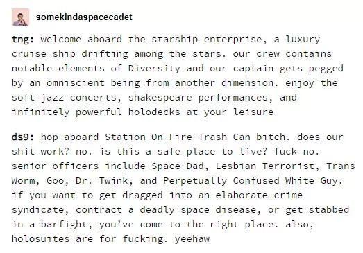 Tumblr screenshot from user somekindaspacadet

"tng: welcome aboard the starship enterprise, a luxury cruise ship drifting among the stars. our crew contains notable elements of Diversity and our captain gets pegged by an omniscient being from another dimension. enjoy the soft jazz concerts, shakespeare performances, and infinitely powerful holodecks at your leisure

ds9: Hop aboard Station On Fire Trash Can bitch. does our shit work? no. is this a safe place to live? fuck no. senior officers include Space Dad, Lesbian Terrorist, Trans Worm, Goo, Dr. Twink, and Perpetually Confused White Guy. if you want to get dragged into an elaborate crime syndicate, contract a deadly space disease, or get stabbed in a barfight, you’ve come to the right place. also, holosuites are for fucking. yeehaw