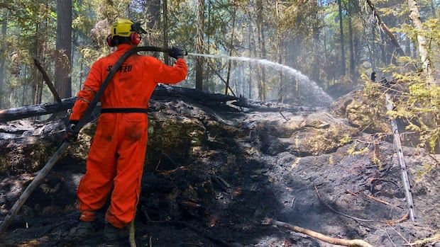 SOPFEU, the organization responsible for wildfire prevention and suppression in Quebec, is warning of extreme fire danger in the greater Montreal area and is urging people be cautious.