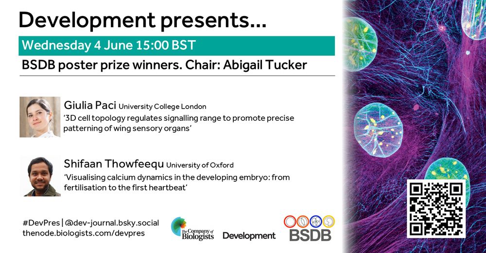 Development presents...
Wednesday 4 June 15:00 BST
BSDB poster prize winners. CHair: Abigail Tucker
Giulia Paci University College London - ‘3D cell topology regulates signalling range to promote precise patterning of wing sensory organs’
Shifaan Thowfeequ University of Oxford - ‘Visualising calcium dynamics in the developing embryo: from fertilisation to the first heartbeat’

