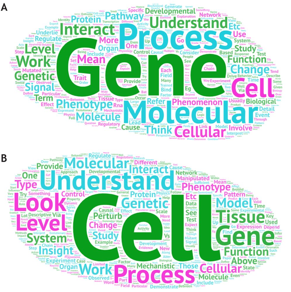 Word clouds summarizing answers to survey questions. (A) Question 1: In your area of work, what is the most common interpretation of the term ‘mechanism’ as applied to research questions? The most common word is 'Gene', followed by 'Process', 'Molecular' and 'Cell'. (B) Question 2: When you assess work in your field, what do you look for in terms of a mechanistic understanding of development? The most common word is 'Cell', followed by 'Look', 'Level', 'Process' and 'Gene'.