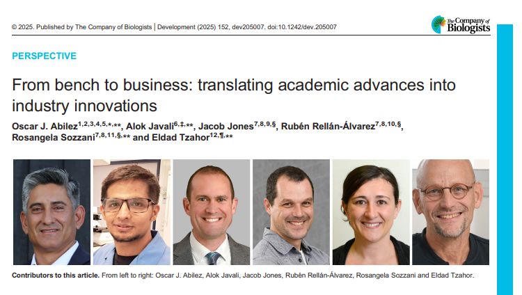 Heading of the PDF of the Perspective article &quot;From bench to business: translating academic advances into industry innovations&quot;. Bottom row shows the photos of Oscar J. Abilez, Alok Javali, Jacob Jones, Rubén Rellán-Álvarez, Rosangela Sozzani and Eldad Tzahor.
