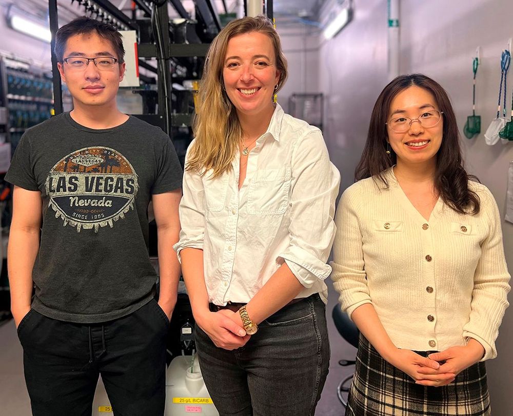 Yiling Lan (left), Heidi Hehnly (centre) and Yan Wu (right) in the zebrafish room at Syracuse University.