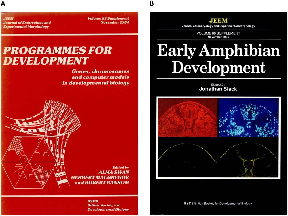 An image of two BSDB supplement covers from Journal of Experimental Embryology and Morphology.
