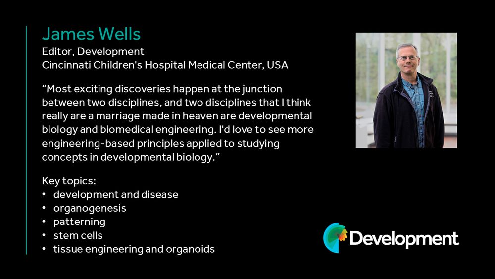 James Wells
Editor, Development
Cincinnati Children's Hospital Medical Center, USA
"Most exciting discoveries happen at the junction between two disciplines, and two disciplines that I think really are a marriage made in heaven are developmental biology and biomedical engineering. I'd love to see more engineering-based principles applied to studying concepts in developmental biology."
Key topics: development and disease, organogenesis, patterning , stem cells, tissue engineering and organoids.
