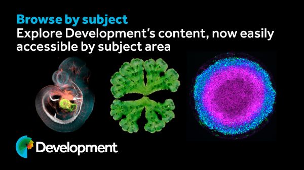 Development logo - Browse by subject: Explore Development's content, now easily accessible by subject area. The ad has a black background with three vibrant scientific images: a developing embryo on the left, a green plant-like structure in the center, and a gastruloid (a circular cell with a bright pink center and blue outer ring) on the right. [Blue button: browse content].