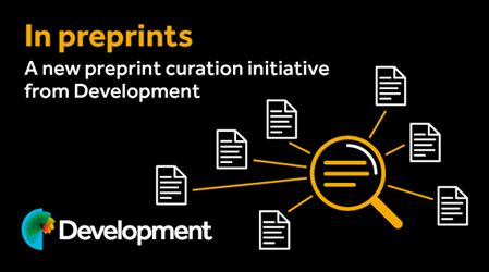 In preprints: a new preprint curation initiative from Development