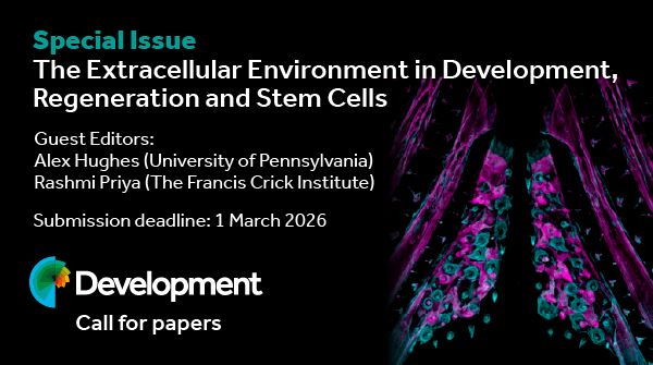 Special Issue
The Extracellular Environment in Development, Regeneration and Stem Cells
Guest Editors:
Alex Hughes (University of Pennsylvania)
Rashmi Priya (The Francis Crick Institute)

Submission deadline: 1 March 2026

Development
Call for papers