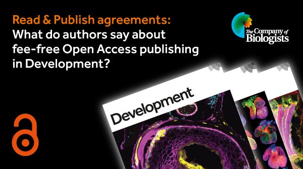 Read & Publish agreements: What do authors say about fee-free Open Access publishing in Development?