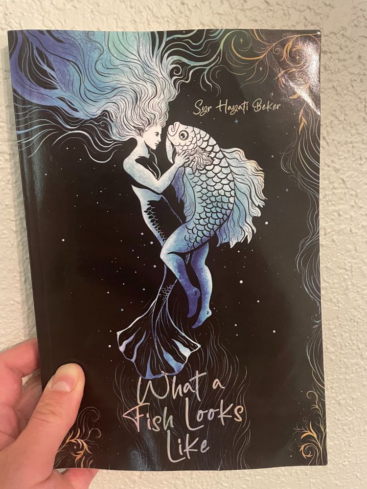 Cover of Syr Hayati Beker's What a Fish Looks Like: black, with two silvery-blue merpeople gently cradling each other at center (one human-head-fish-tail, the other fish-head-human-legs).