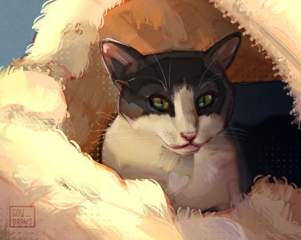 A digital painting of a black and white cat with green eyes, nestled inside a cozy, fur-lined mat. The cat gazes calmly to the side, its face illuminated by warm, golden light. The surrounding fur and soft textures create a sense of warmth and comfort, contrasting with the darker background. It's a semi-realistic style painting with visible brushstrokes and a textured feel.

