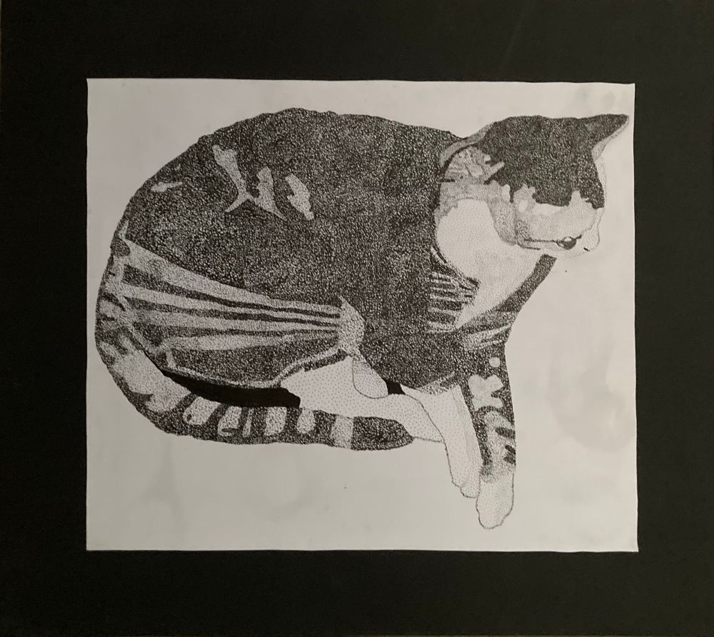 A pointillism piece of my childhood cat, Finn, that I illustrated as part of a college class. Sections are colored by density of dots, with large portions of the fur on his torso, head, and tail darker and his belly and legs lighter.