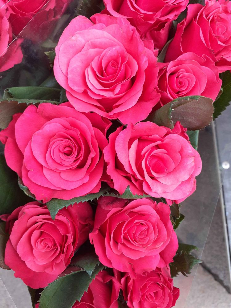 Ein Foto von einem Strauß pinker Rosen. 