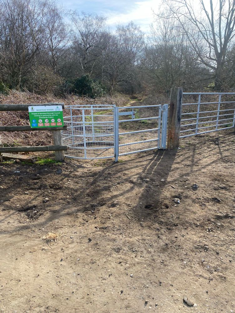 Picture of new metal pedestrian and vehicle gates. 