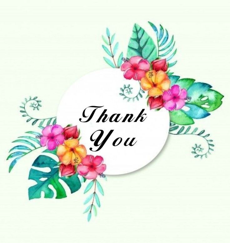 Comment image
