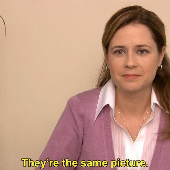 Image of Pam from The Office saying they're the same picture 