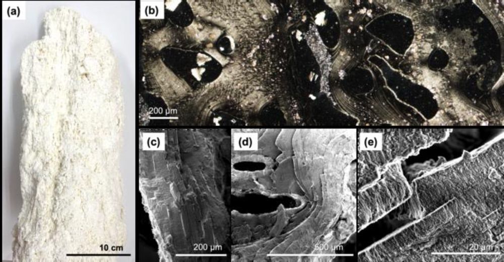 Deep Ocean Nanostructures Offer Clues to Life's Origins and Future Energy Solutions