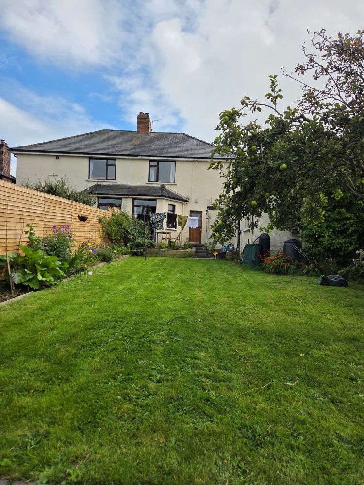 View up the garden. There's an apple tree, rhubarb and sweet peas growing. There's washing drying on the line and the lawnmower is still out.