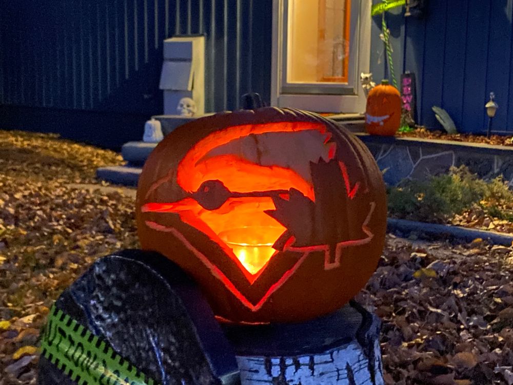 A Toronto Blue Jays themed pumpkin.