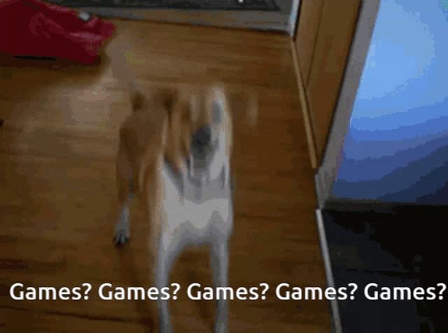 a dog standing on a wooden floor with the words games games games games