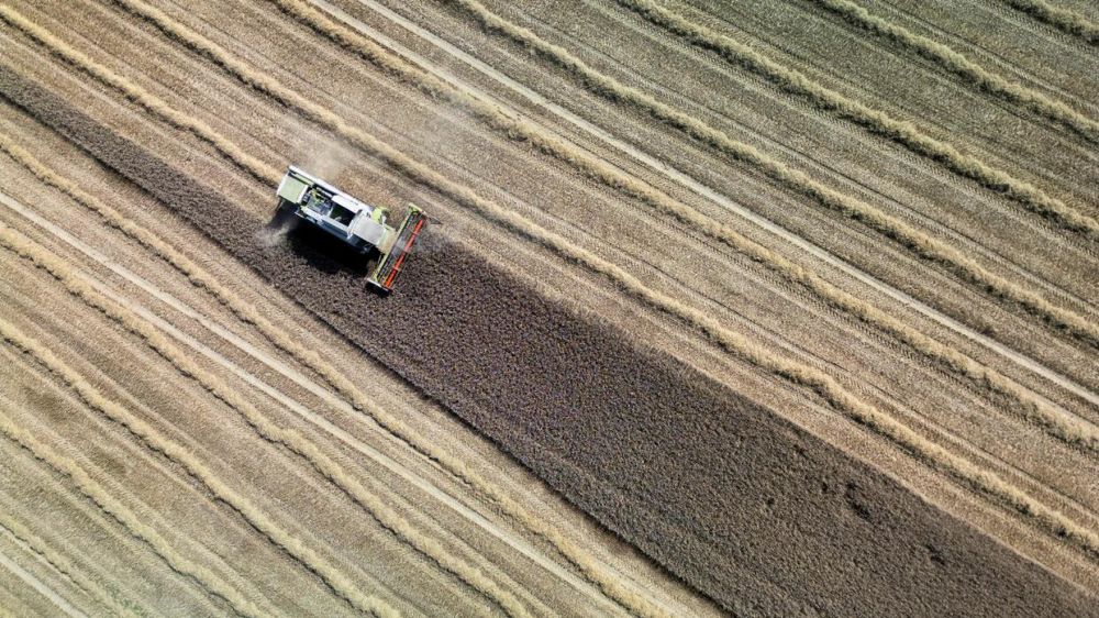 Klimaschutz: Studie: Landwirtschaft könnte Treibhausgase stark reduzieren