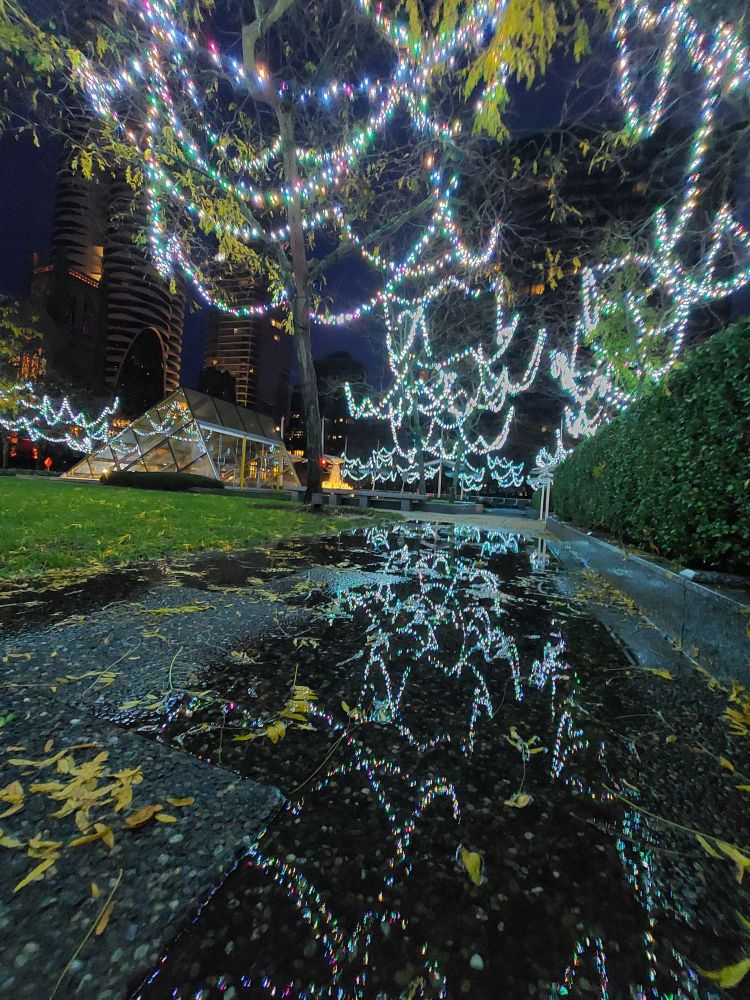 Colorful lights hanging in trees reflecting in a puddle in vancouver