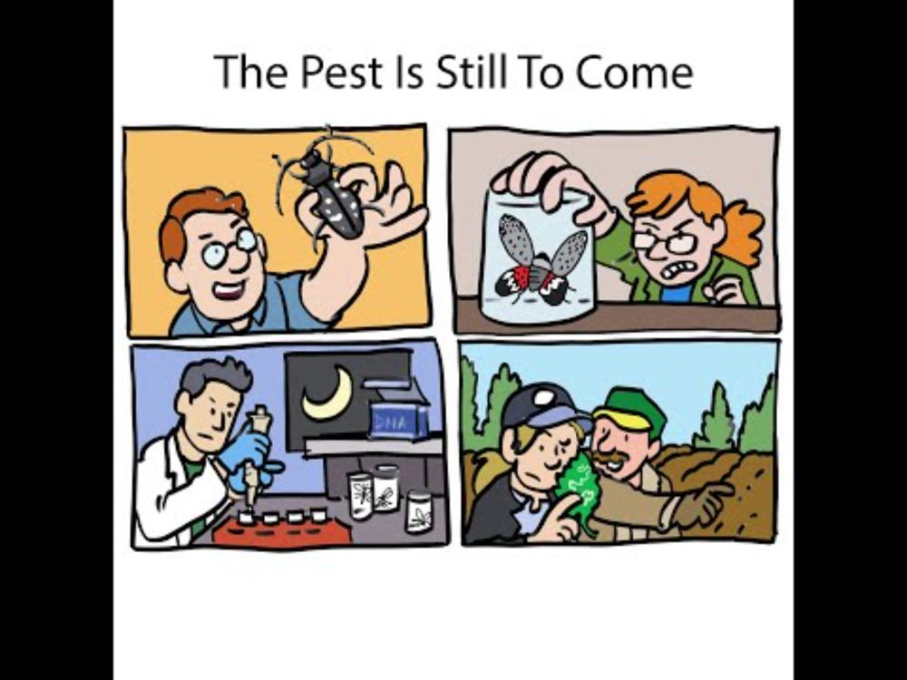 The Pest Is Still To Come