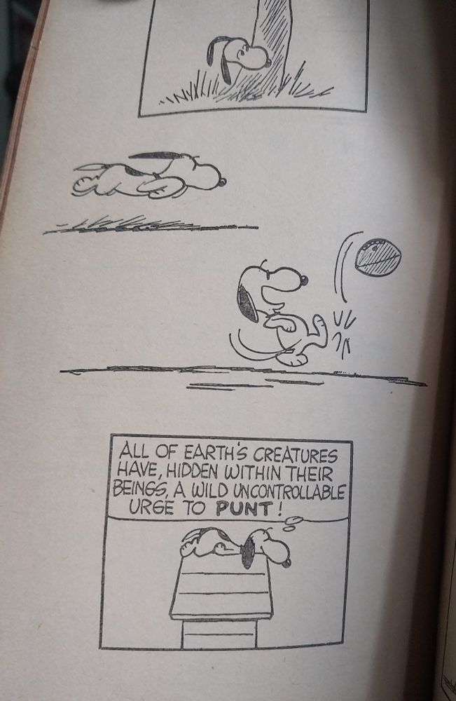 Snoopy, atop his doghouse, thinking "All of Earth's creatures have, within their beings, a wild uncontrollable urge to PUNT!"