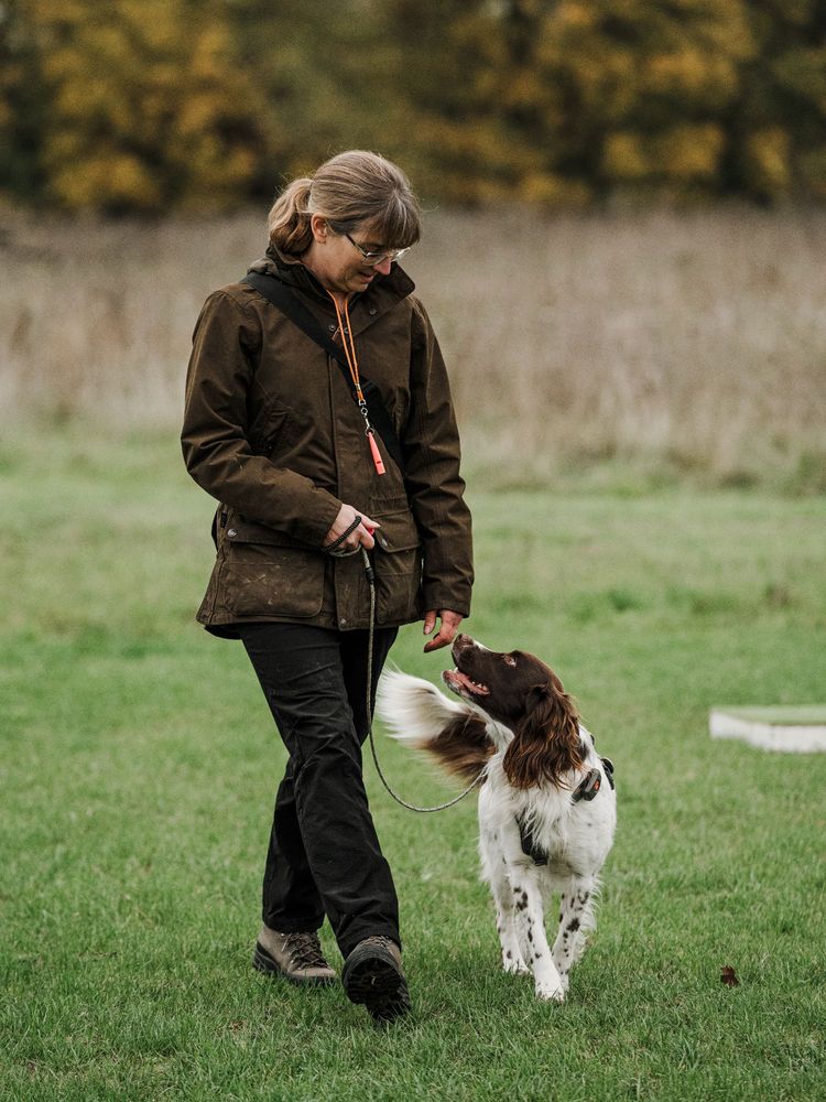 A woman walks a brown and white Sprocker spaniel.  The woman and the dog are looking at each other.  The woman's coat has been slightly mud splattered by a slightly over enthusiastic retrieve.
