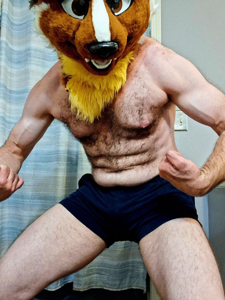 Shirtless man with weasel fursuit head, in a partial crouching position, with his arms curled.