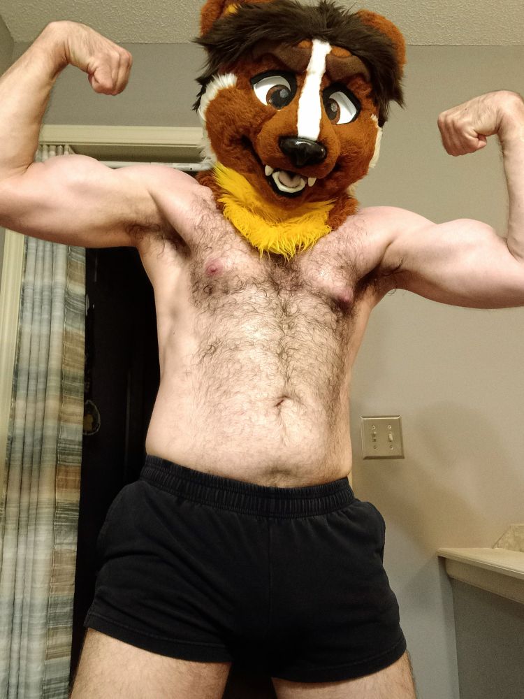 Shirtless man with weasel fursuit head, flexing both arms.